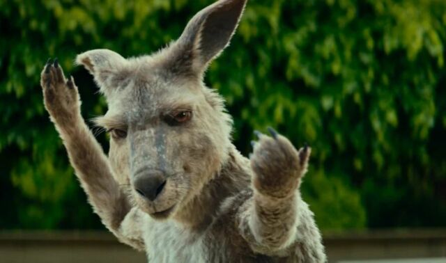 Seid Ihr bereit? 
Das Känguru schlägt zurück! 
DIE KÄNGURU-VERSCHWÖRUNG - ab 25. August nur im Kino!

#kängurufilm @marcuewkling

@xverleih @xfilme @prosieben #skytv @trixterfilm @medienboard #mdm @fffbayern #ffa #dfff